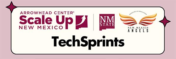 Tech Sprints 2024 logo